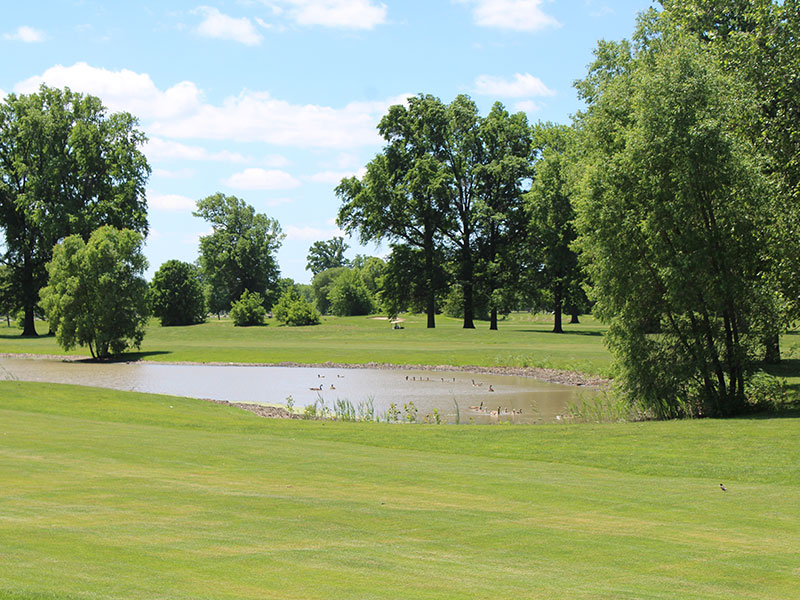 Chandler Park Golf Course