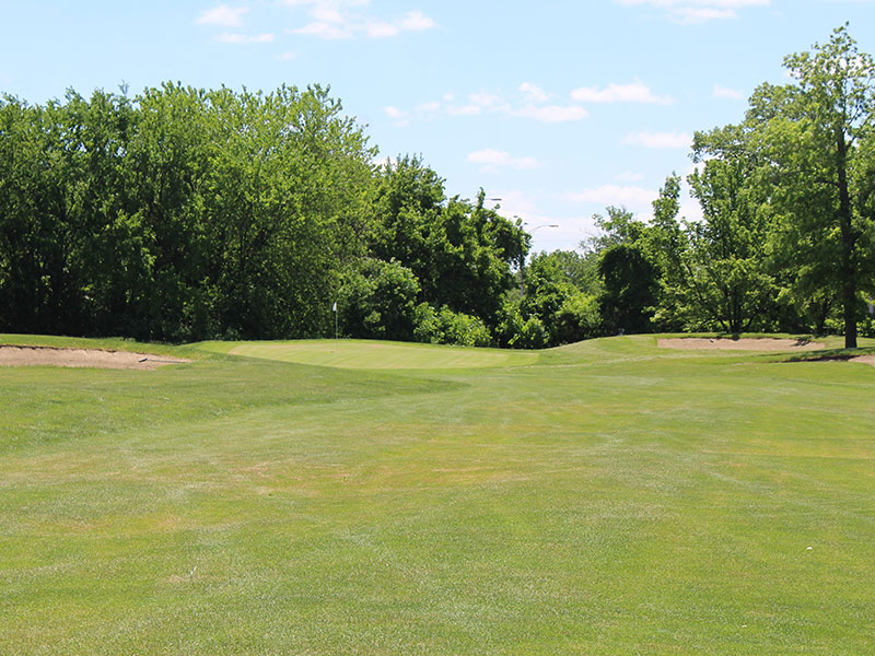 Chandler Park Golf Course