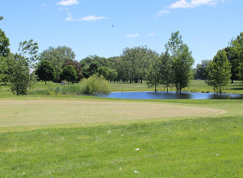 Chandler Park Golf Course