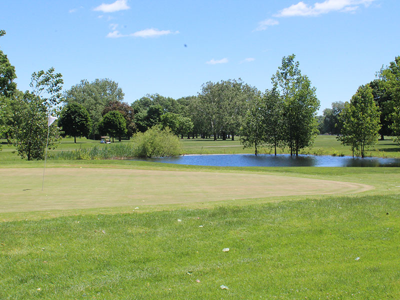 Chandler Park Golf Course