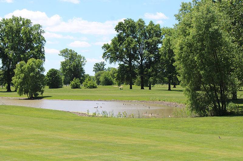 Chandler Park Golf Course