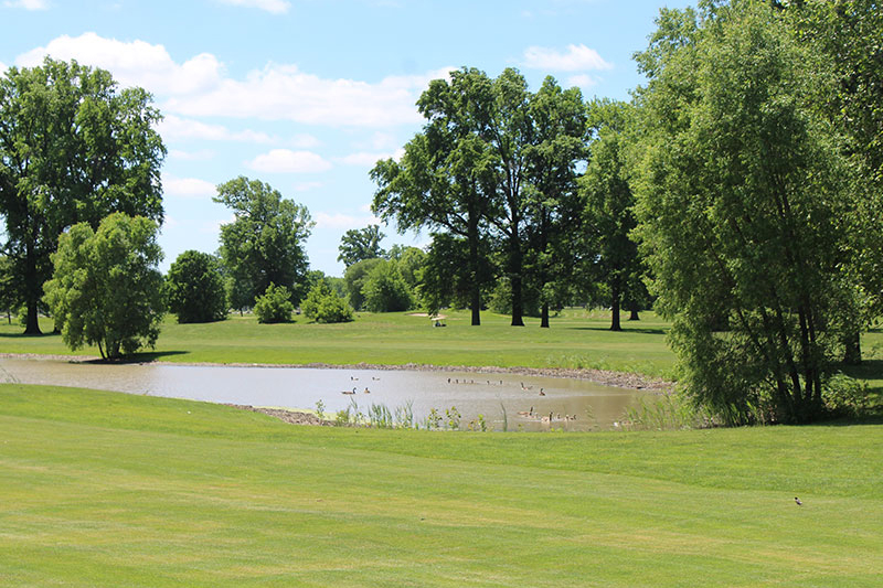 Chandler Park Golf Course